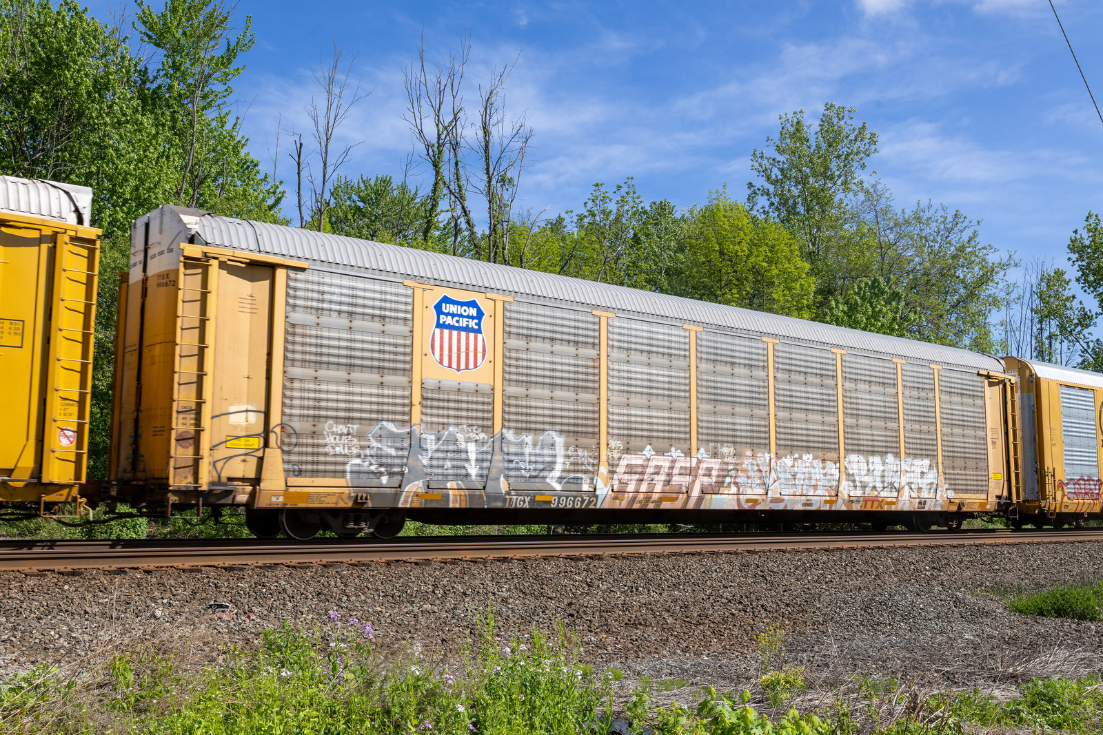 TTGX 996672