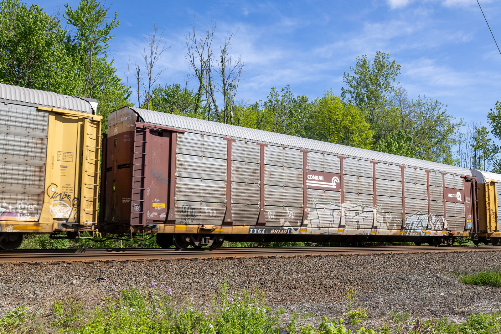 TTGX 991401
