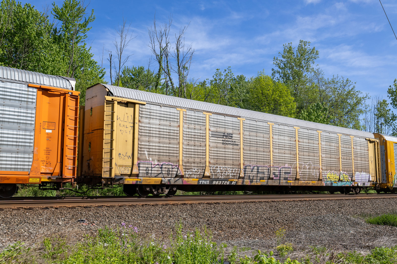 TTGX 983726
