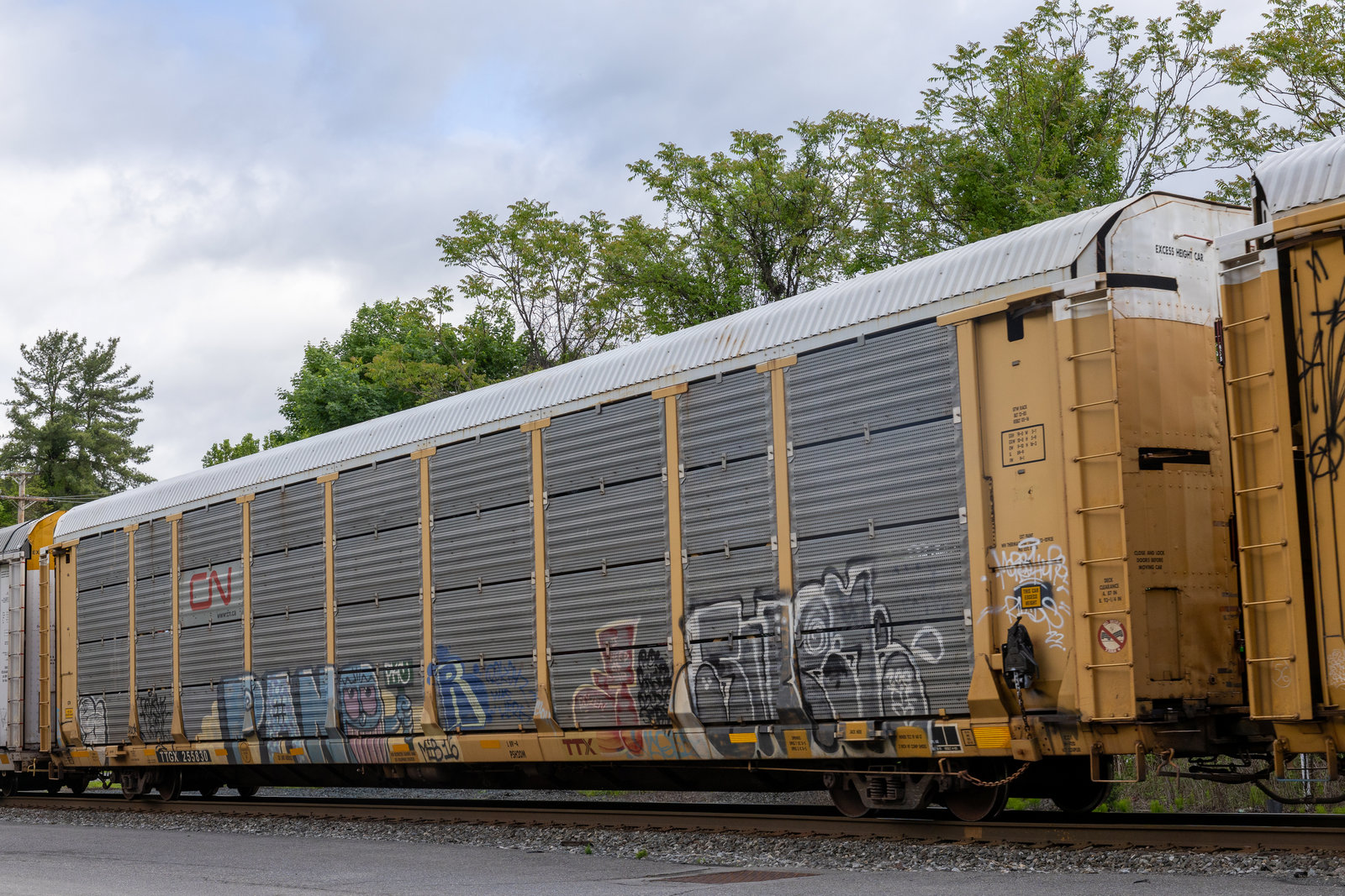 TTGX 255830