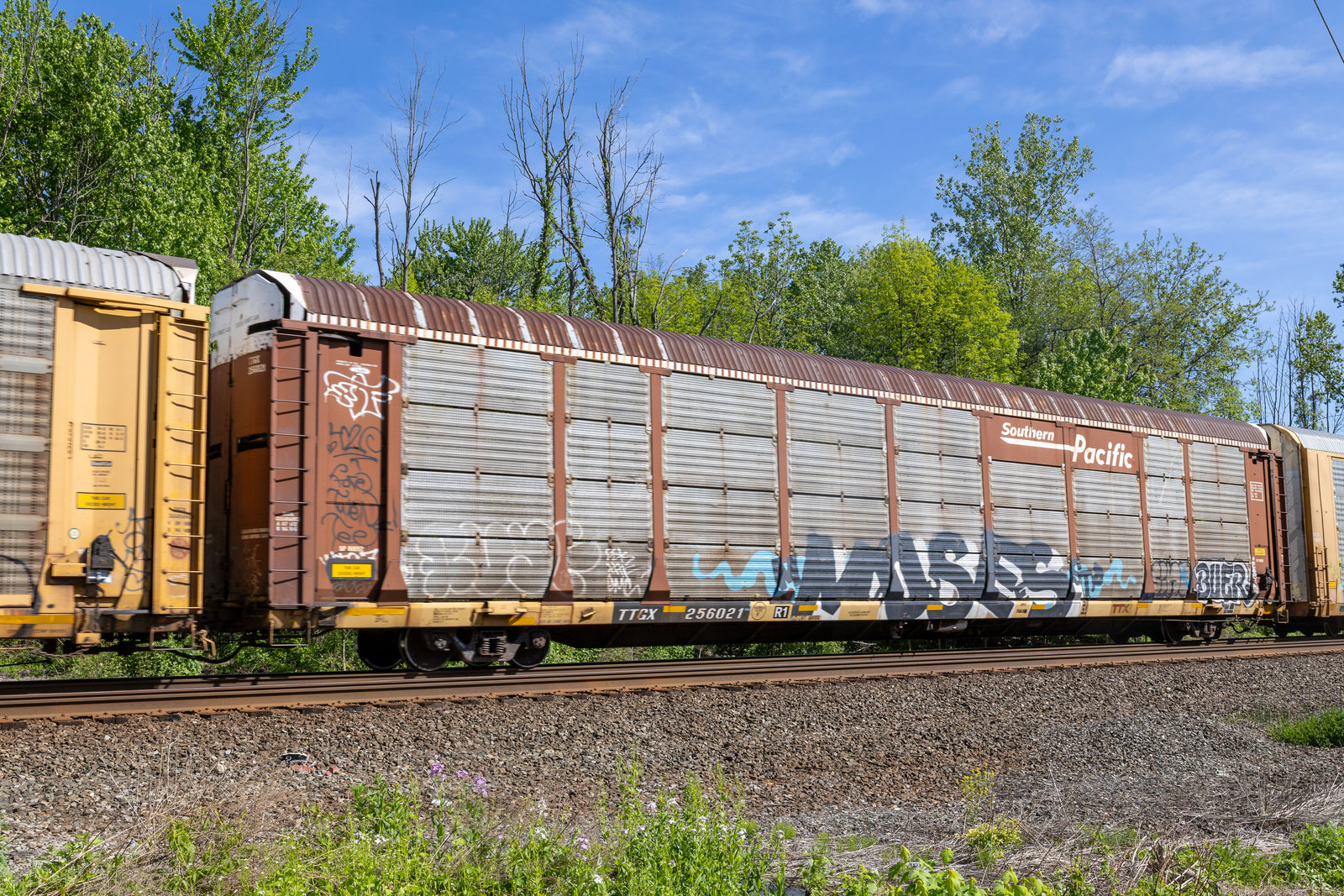 TTGX 256021