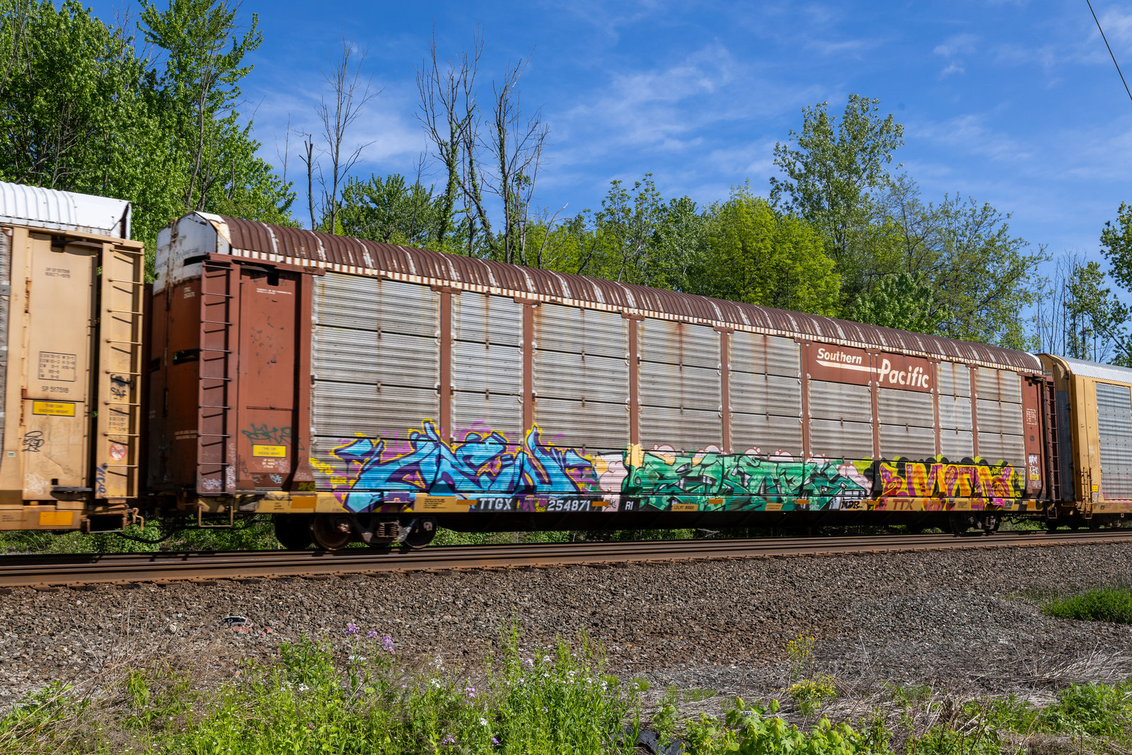 TTGX 254871