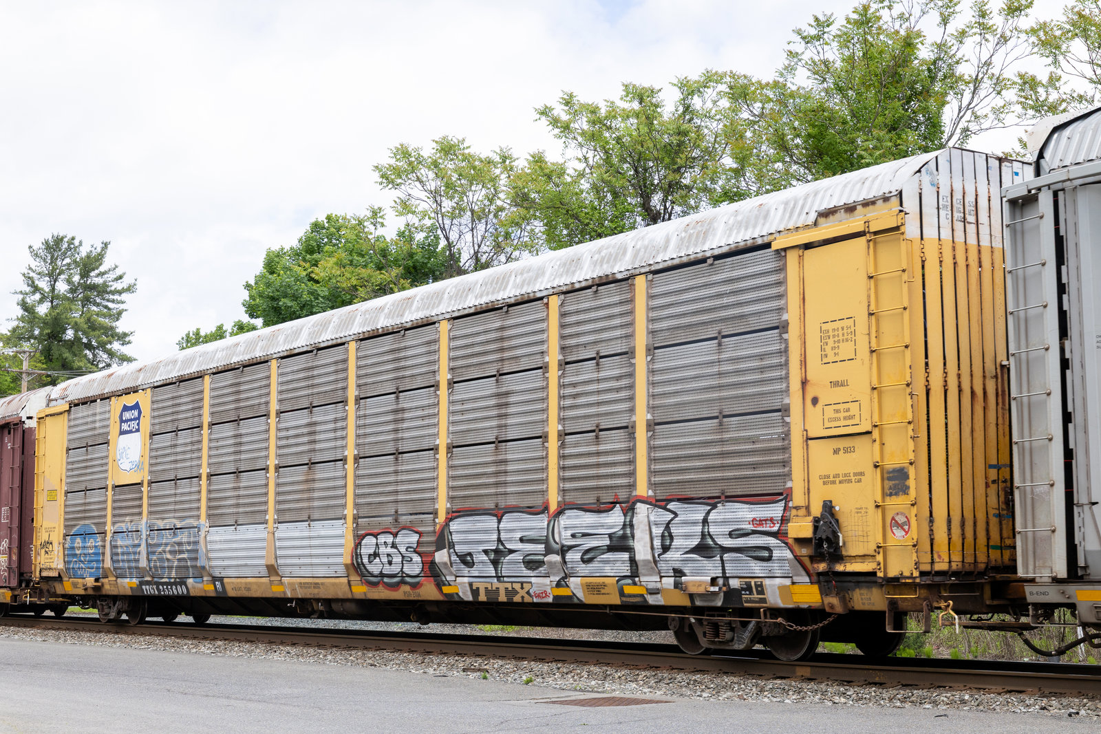 TTGX 255600