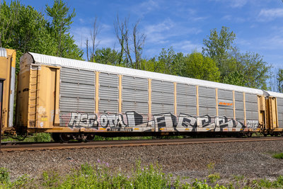 TTGX 963046