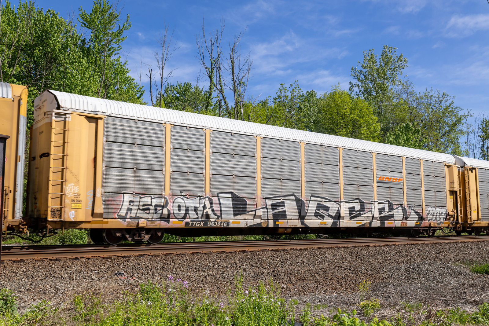 TTGX 963046