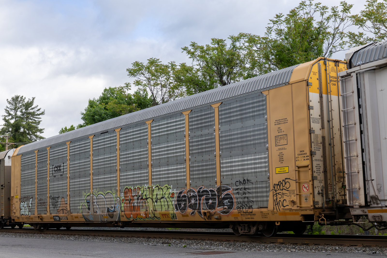 TTGX 715850