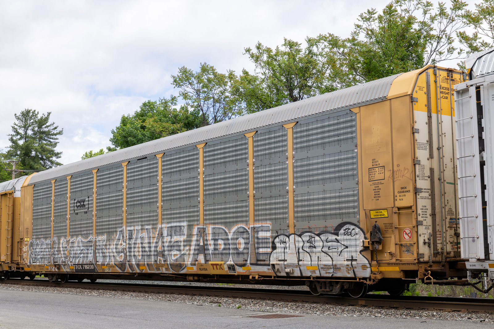 TTGX 716239