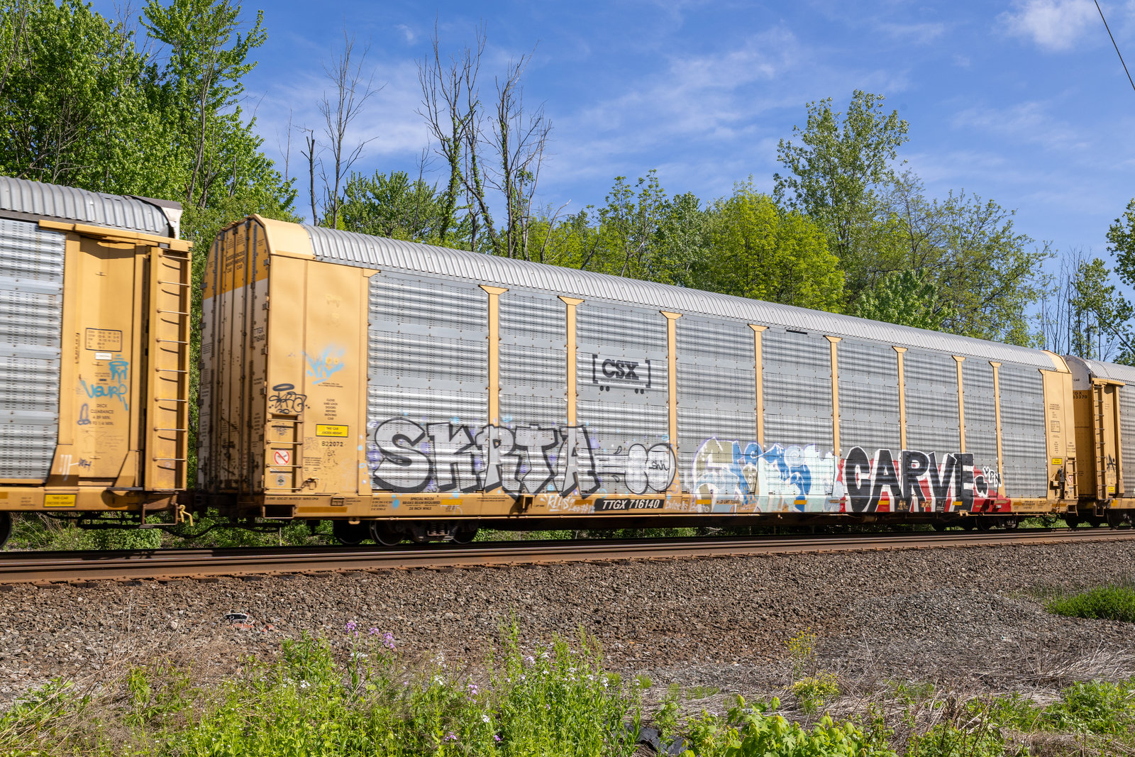 TTGX 716140