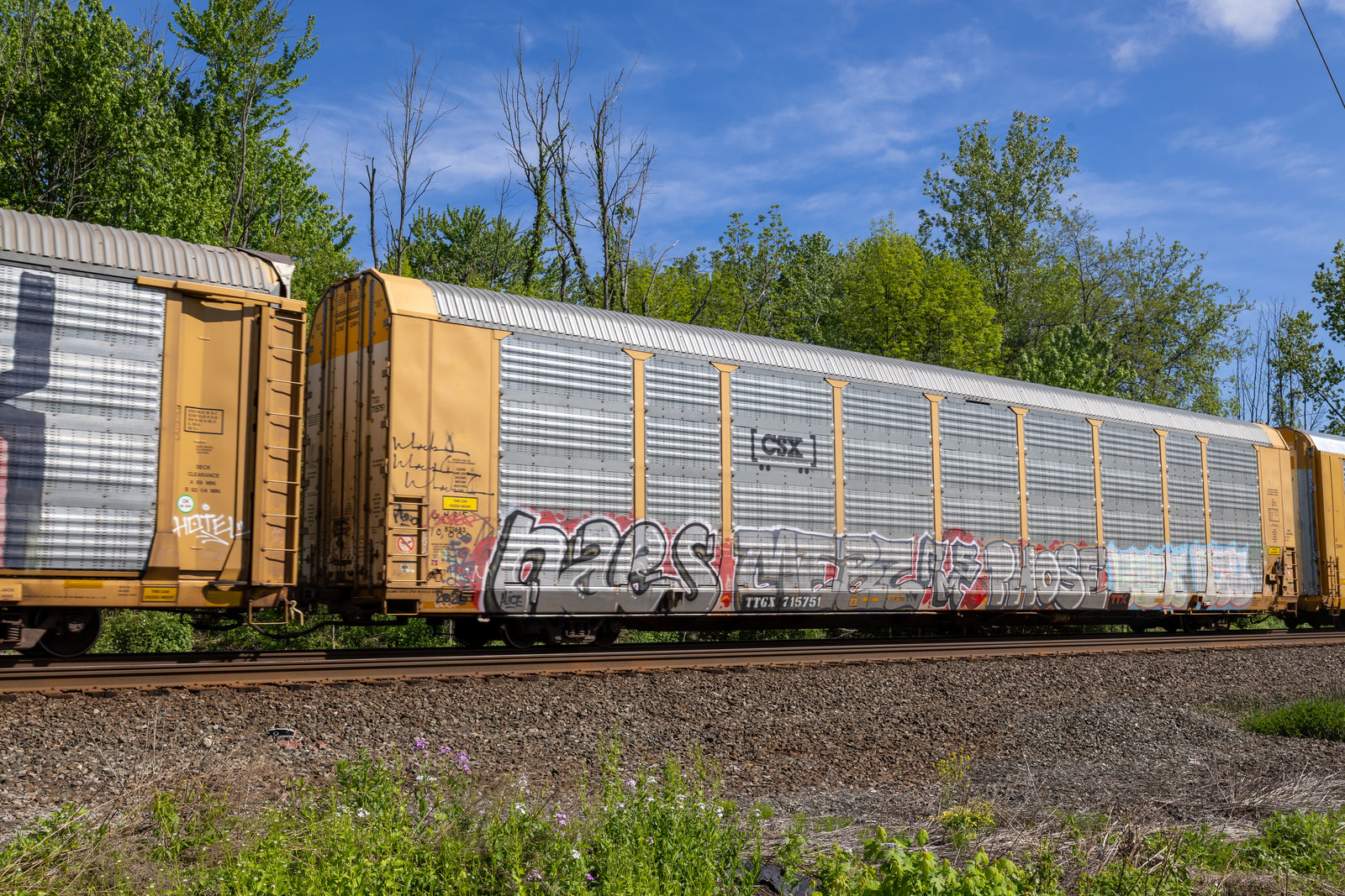 TTGX 715751