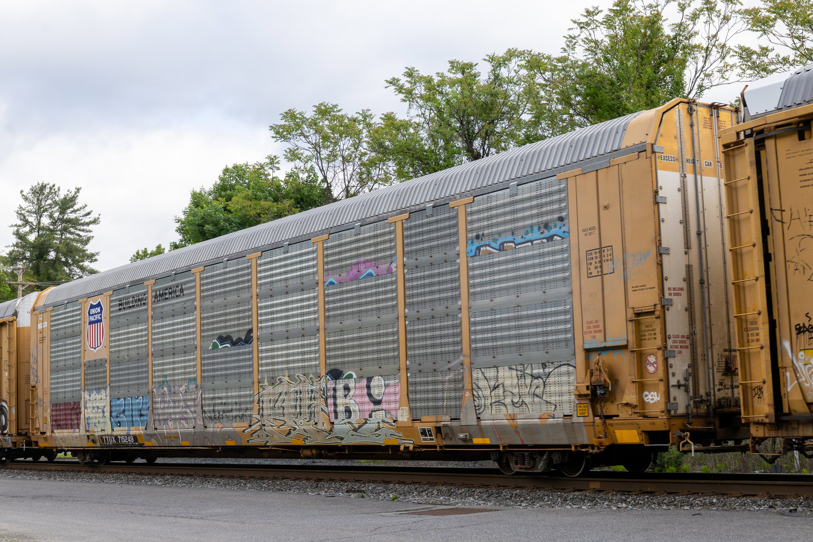 TTGX 715249