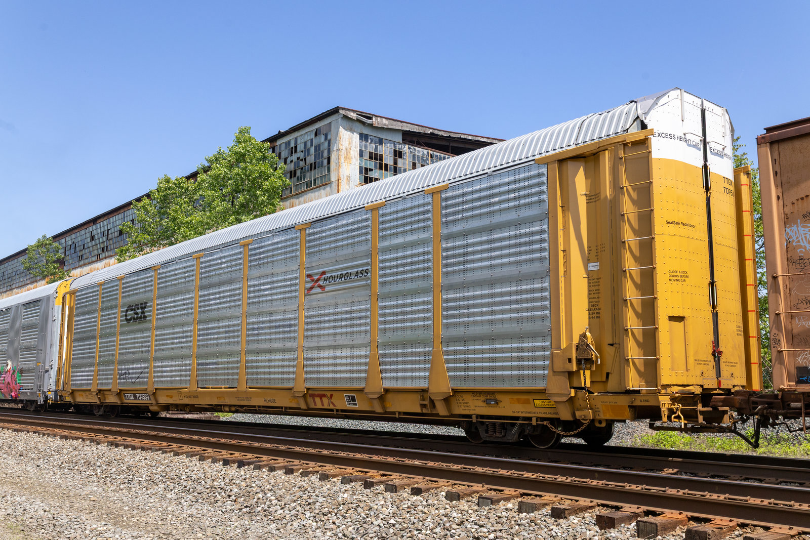 TTGX 709539