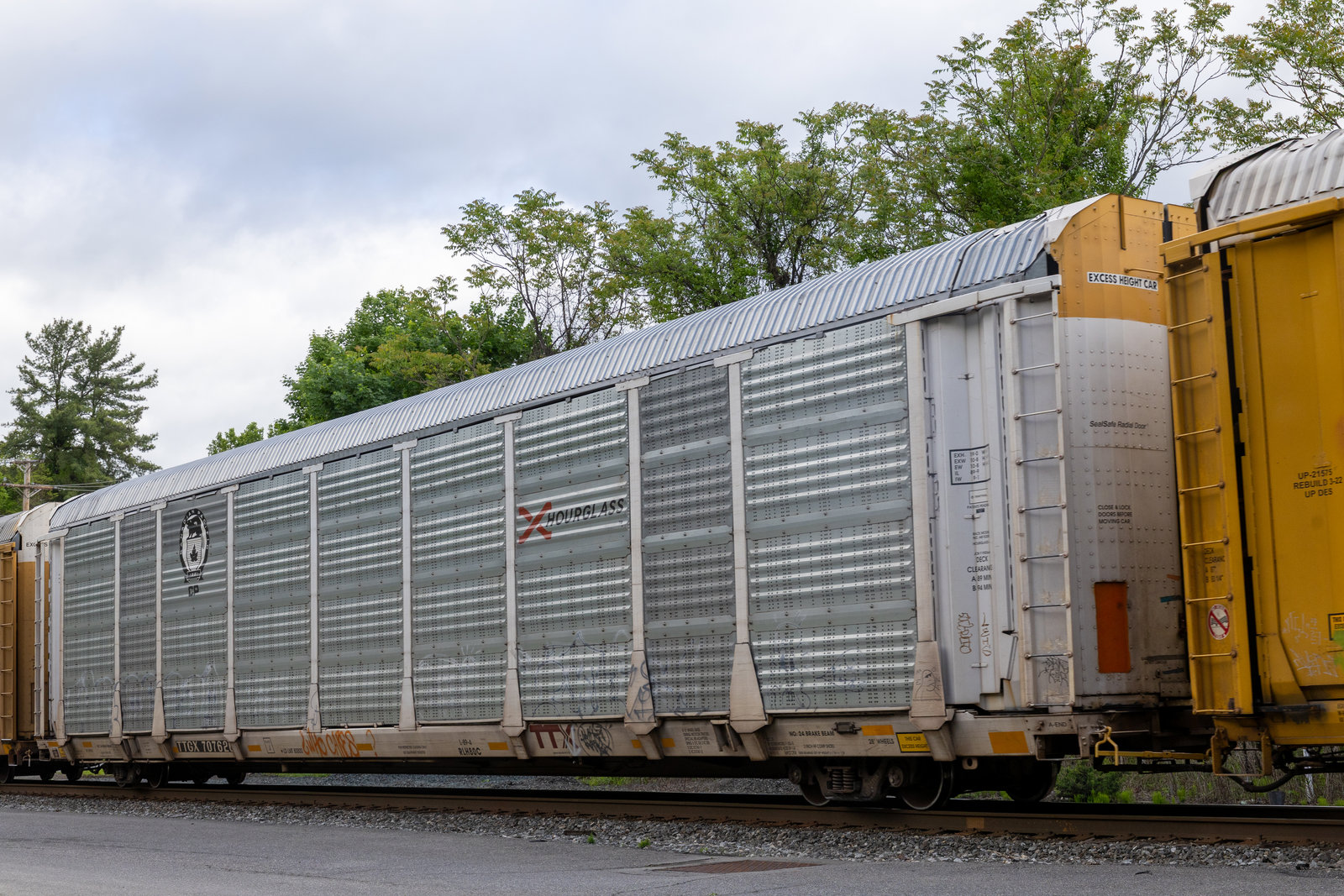 TTGX 707626