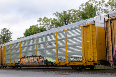 TTGX 709901