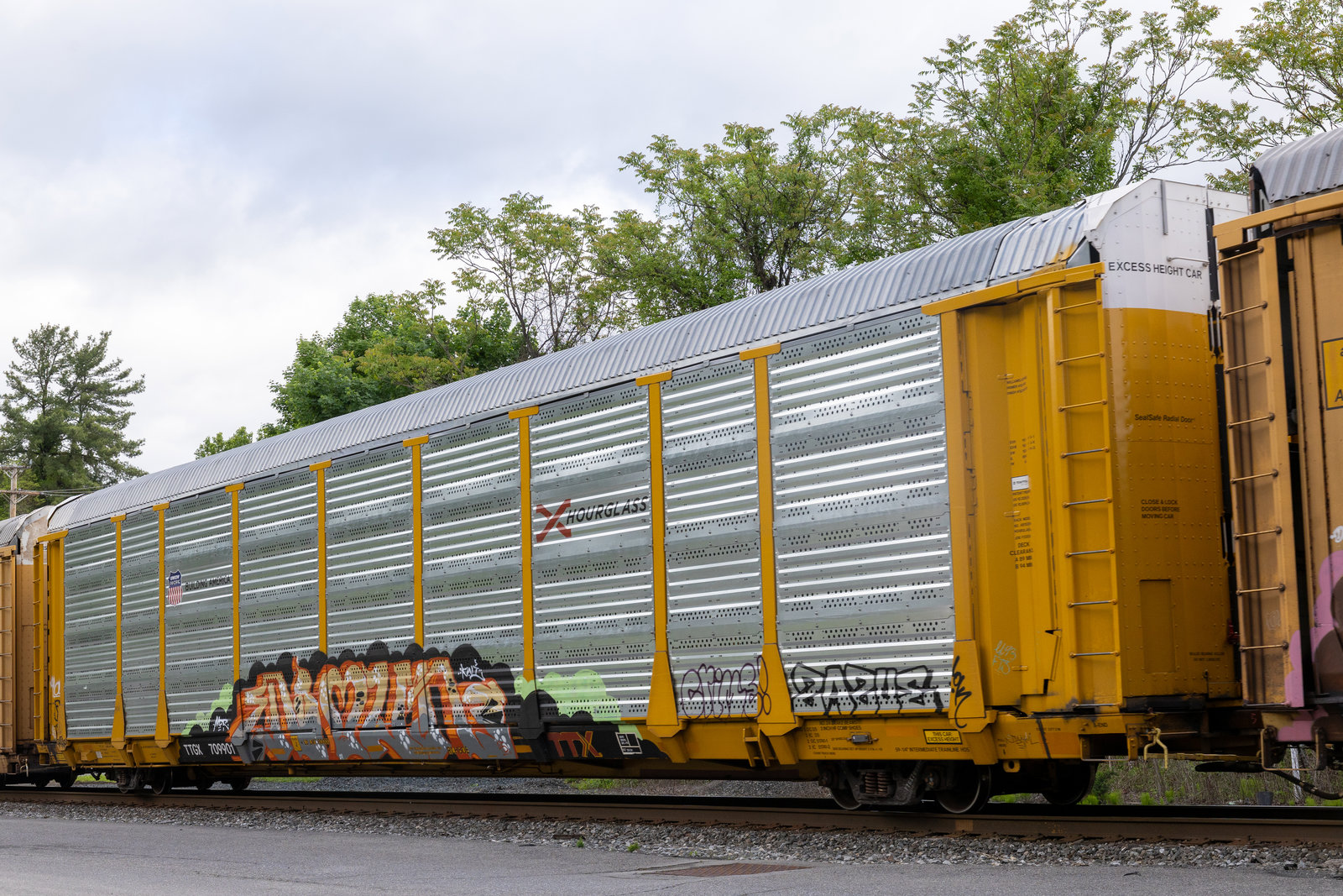 TTGX 709901