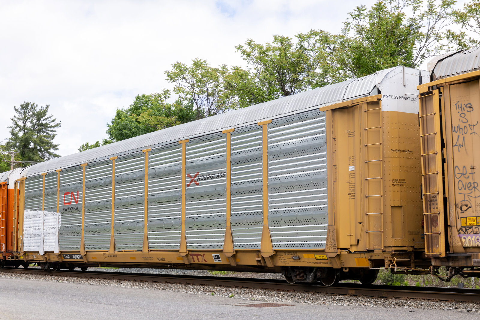 TTGX 709697