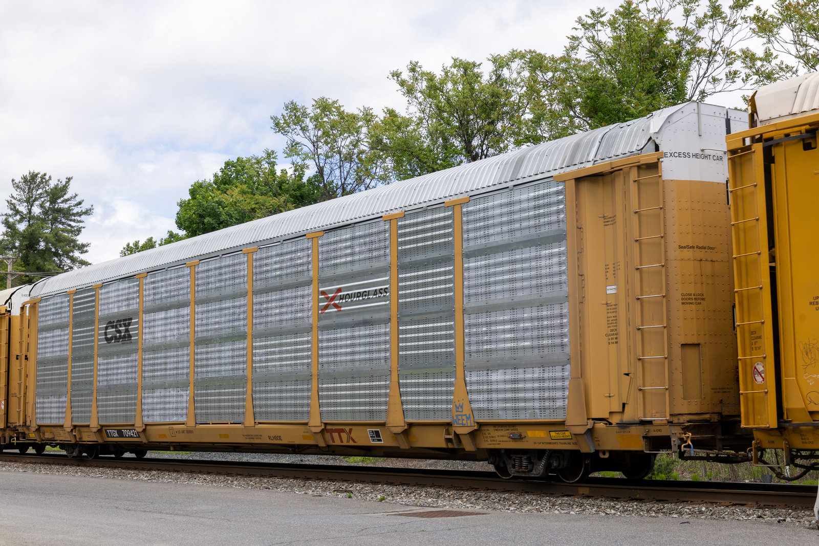 TTGX 709421