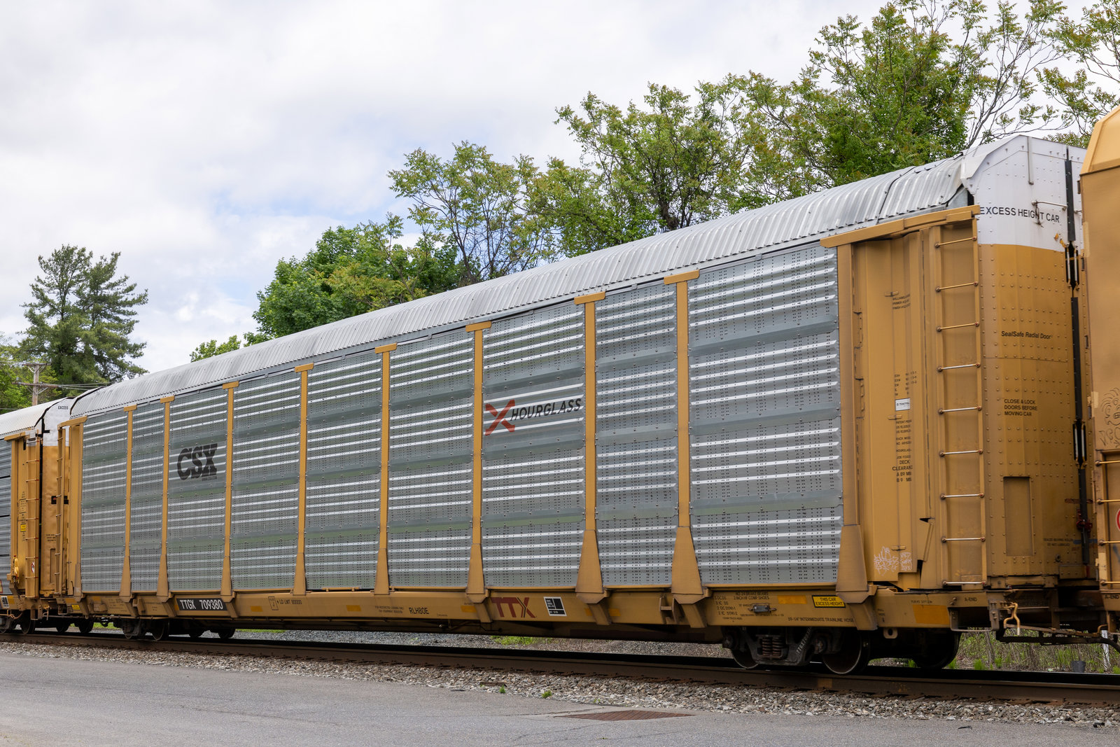 TTGX 709380