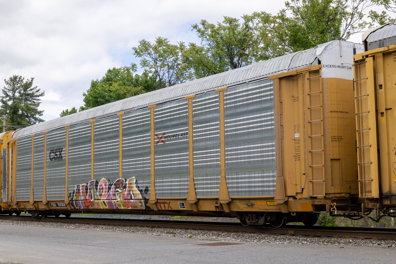 TTGX 709308