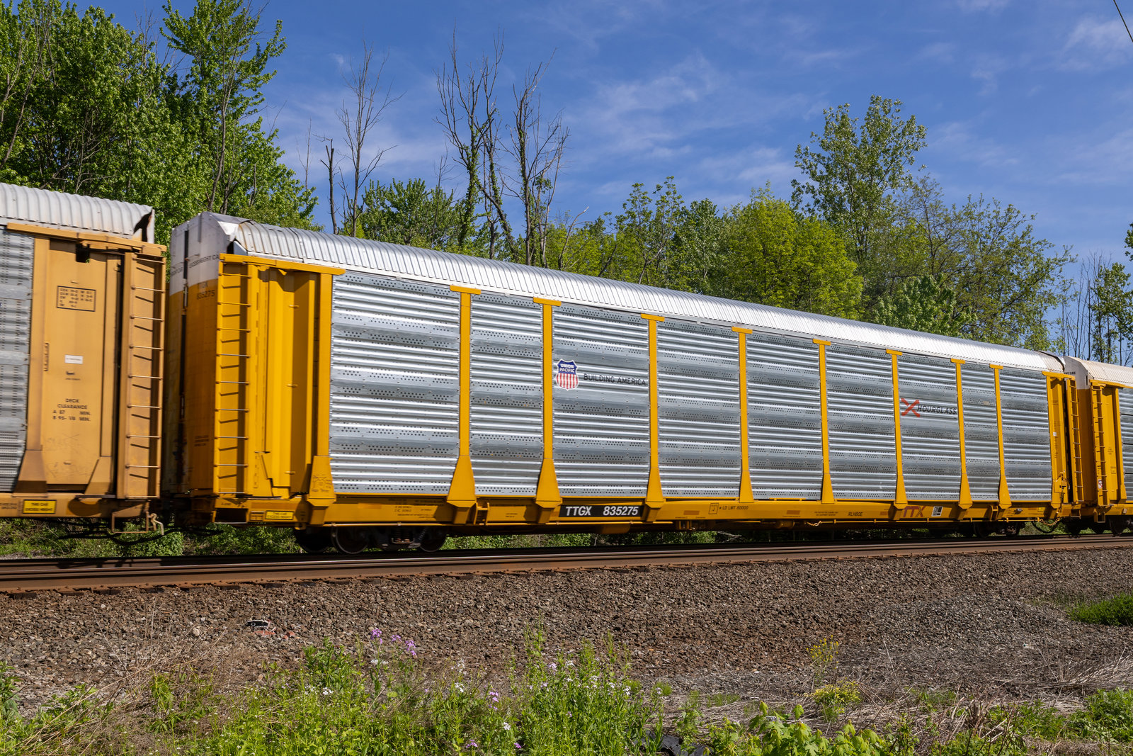 TTGX 835275