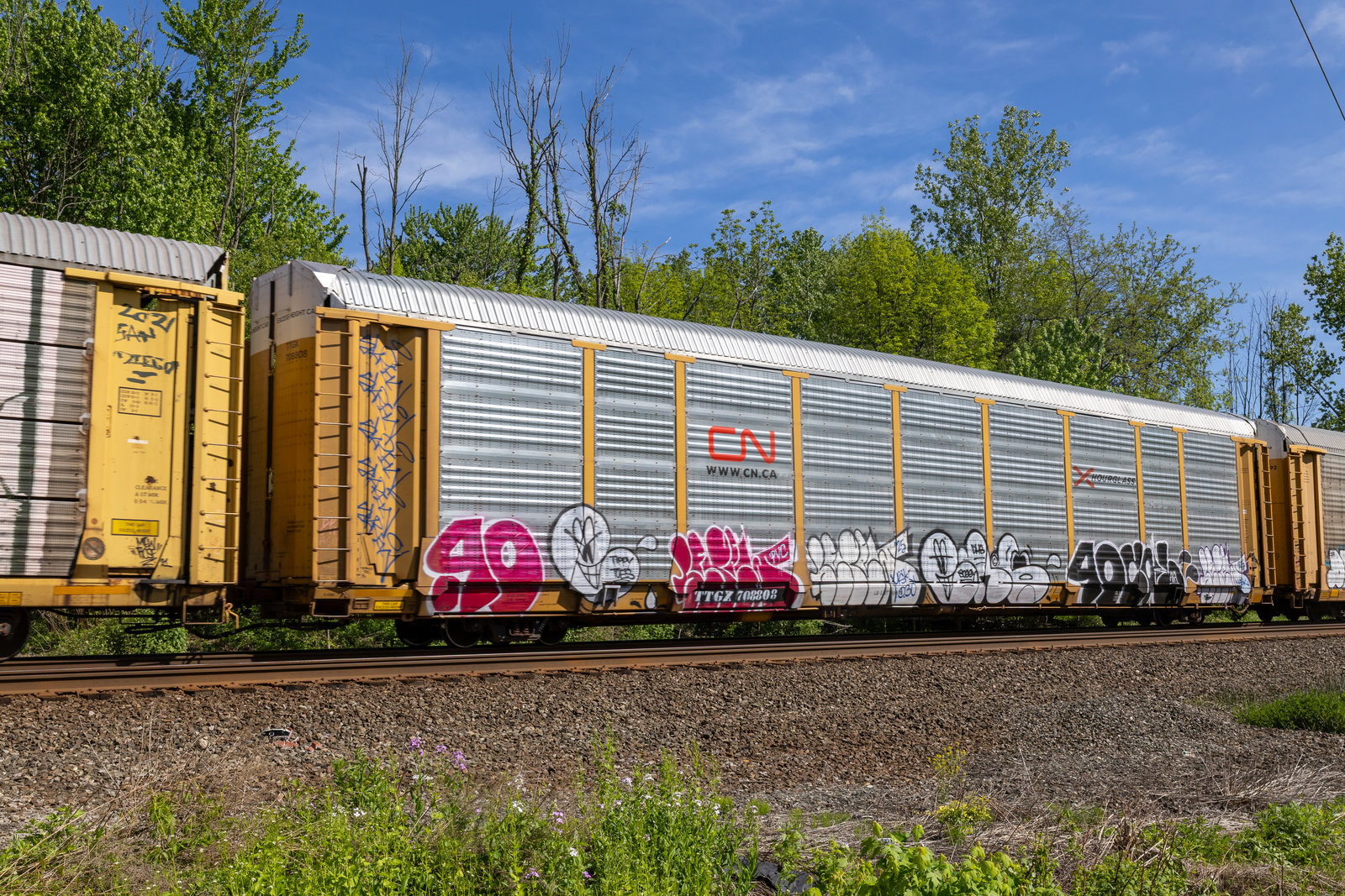 TTGX 708808