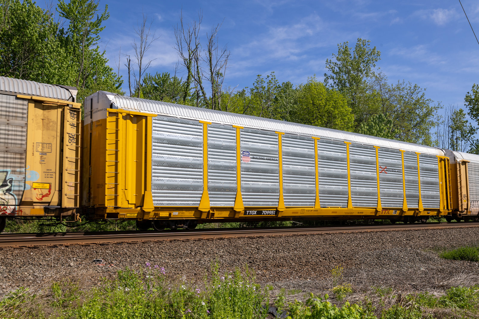 TTGX 709951