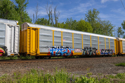 TTGX 835024