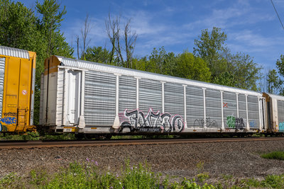 TTGX 707805