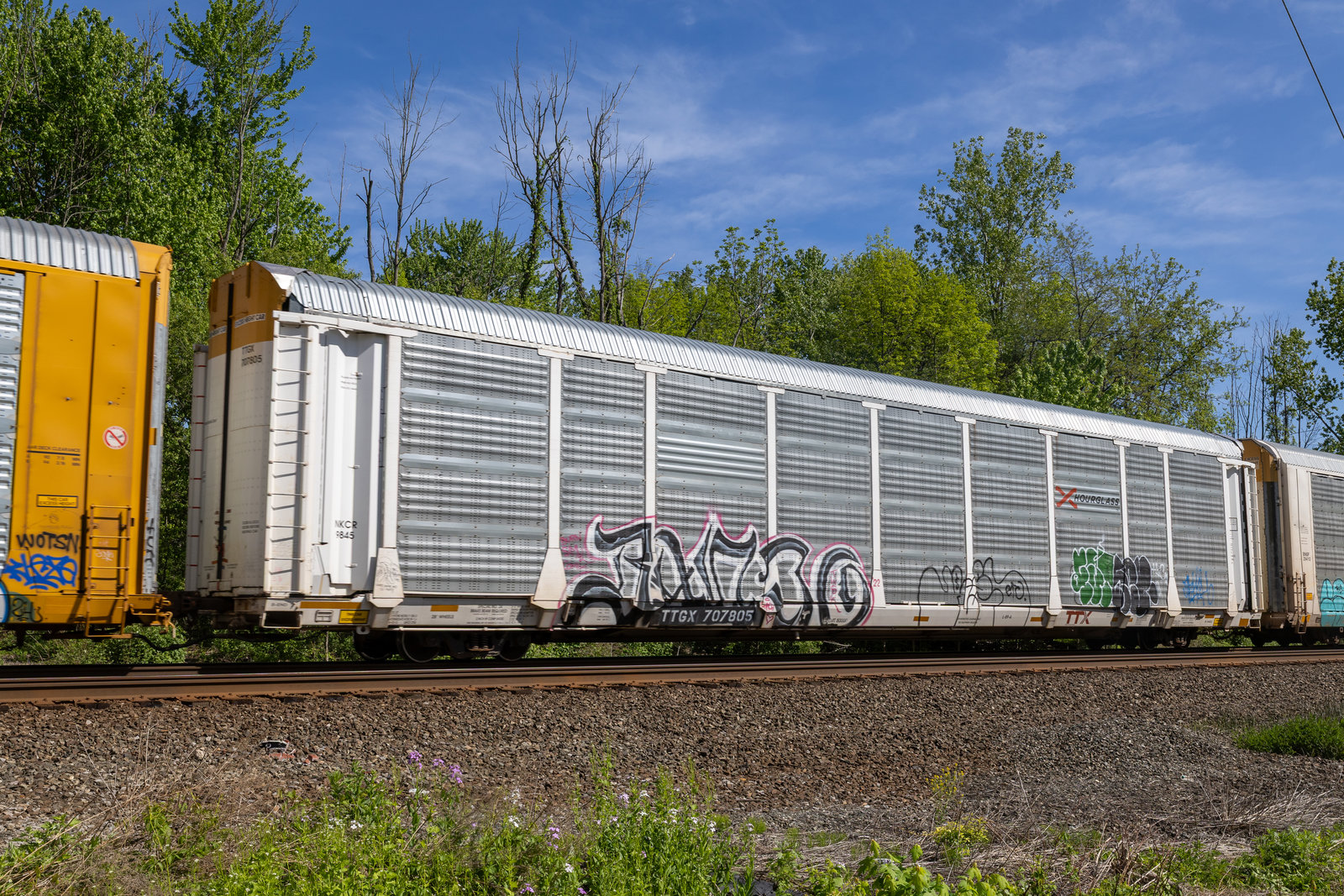 TTGX 707805