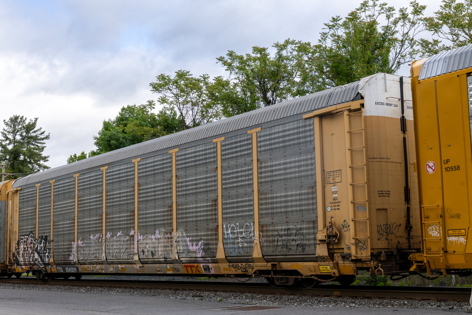 TTGX 854009