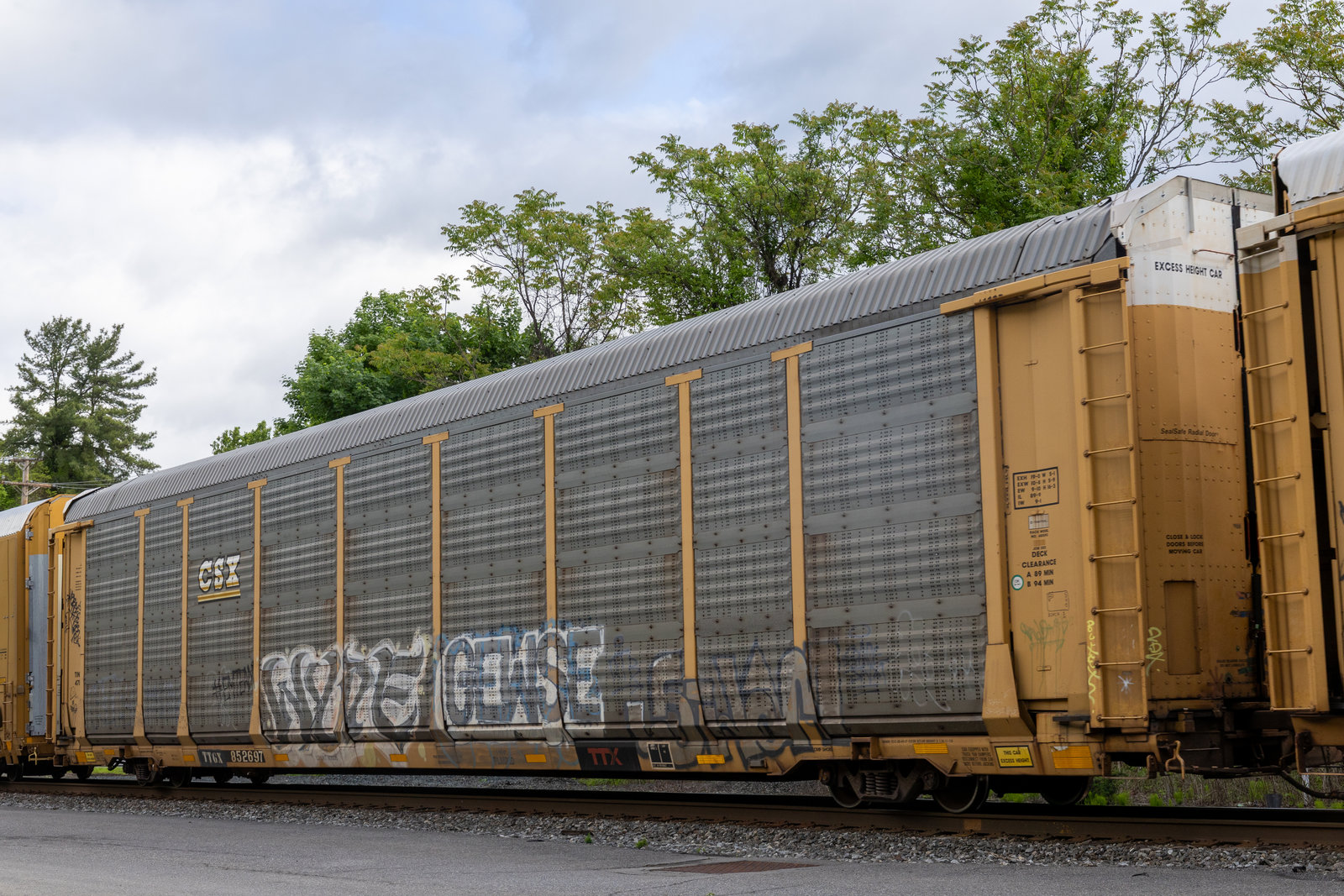 TTGX 852697