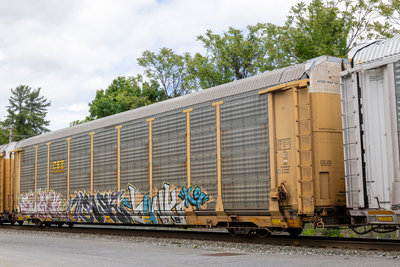 TTGX 820199