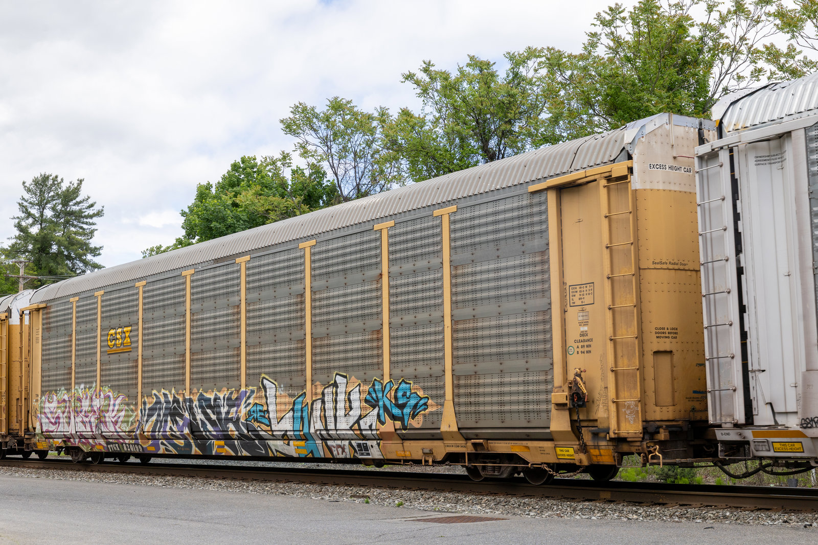 TTGX 820199