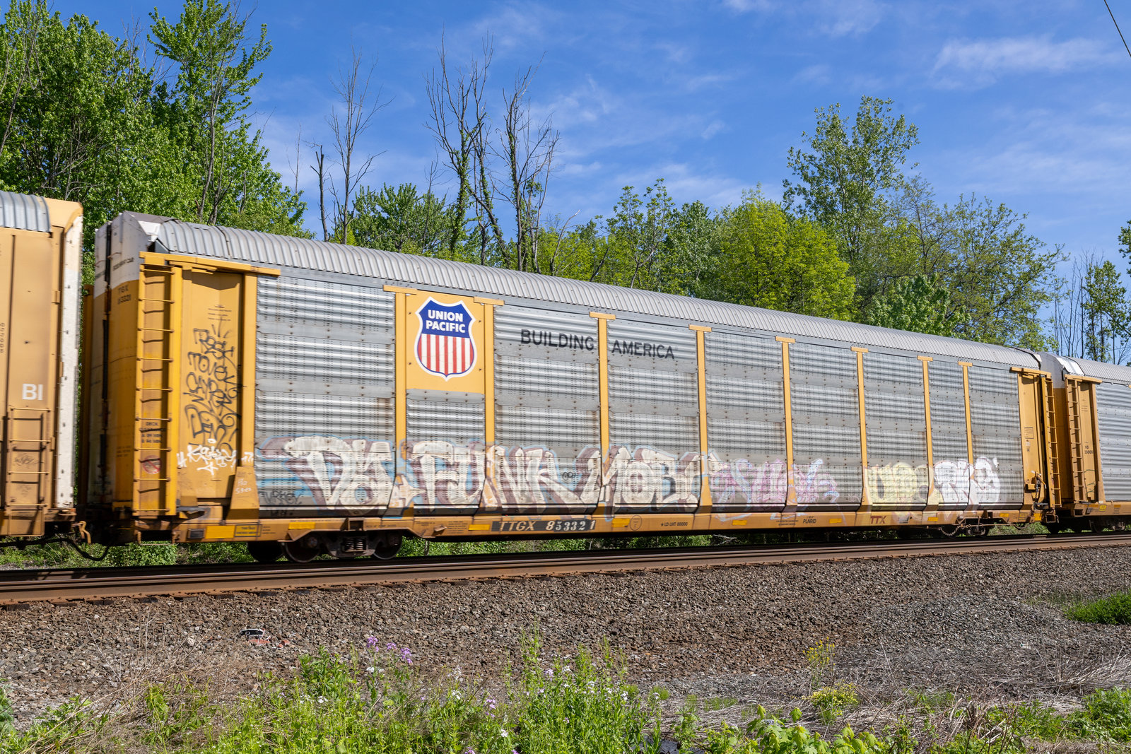 TTGX 853321