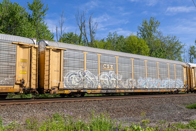 TTGX 701028