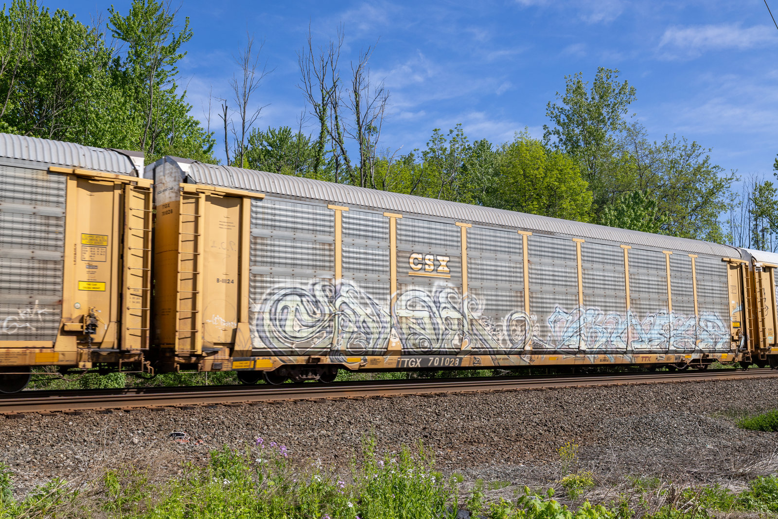 TTGX 701028