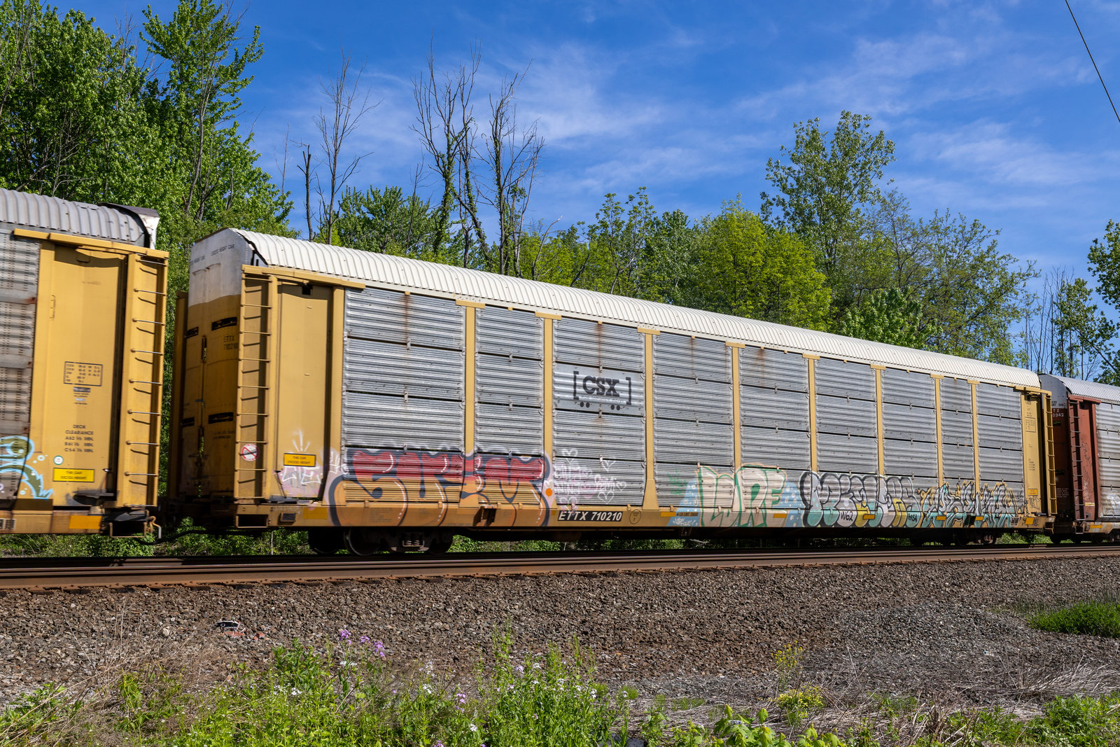 ETTX 710210