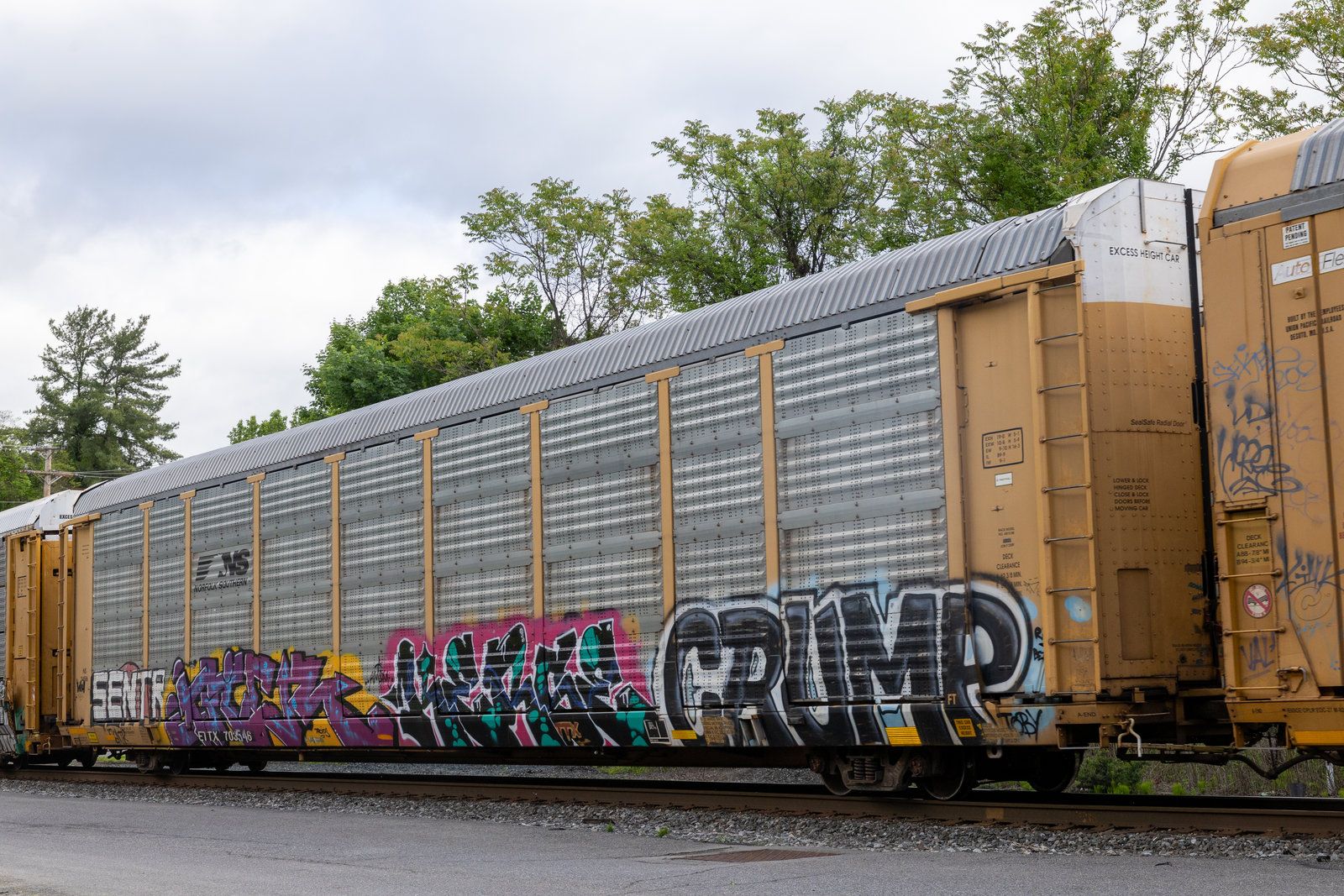 ETTX 703546