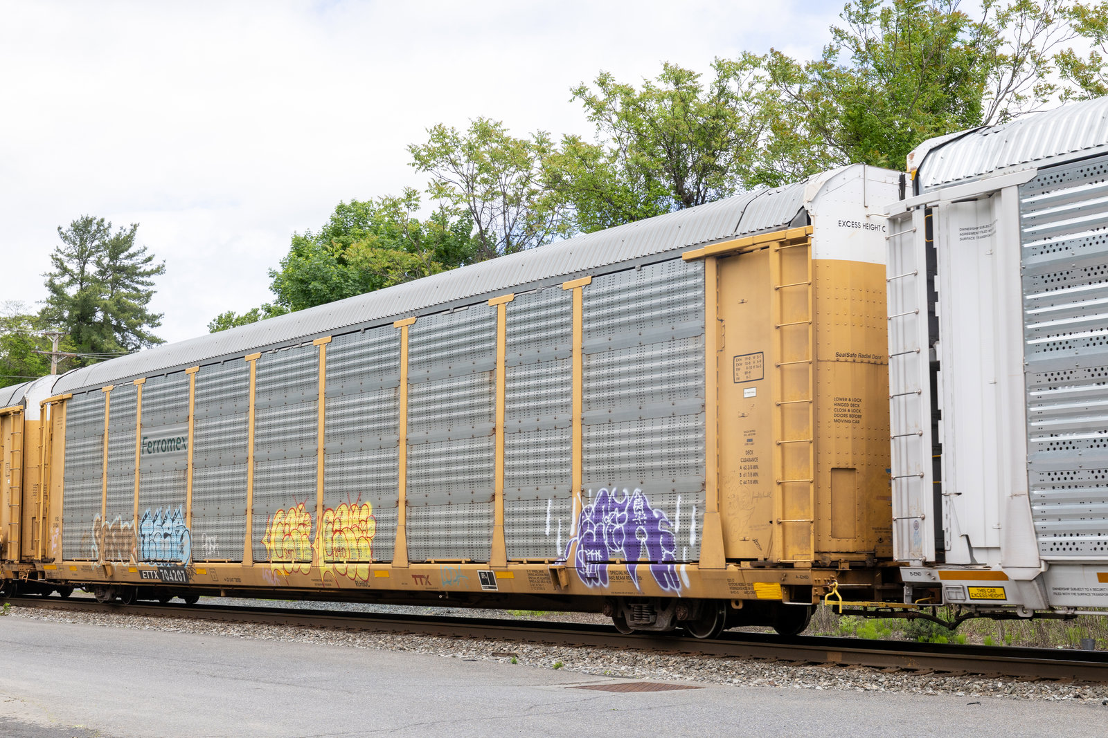 ETTX 704207