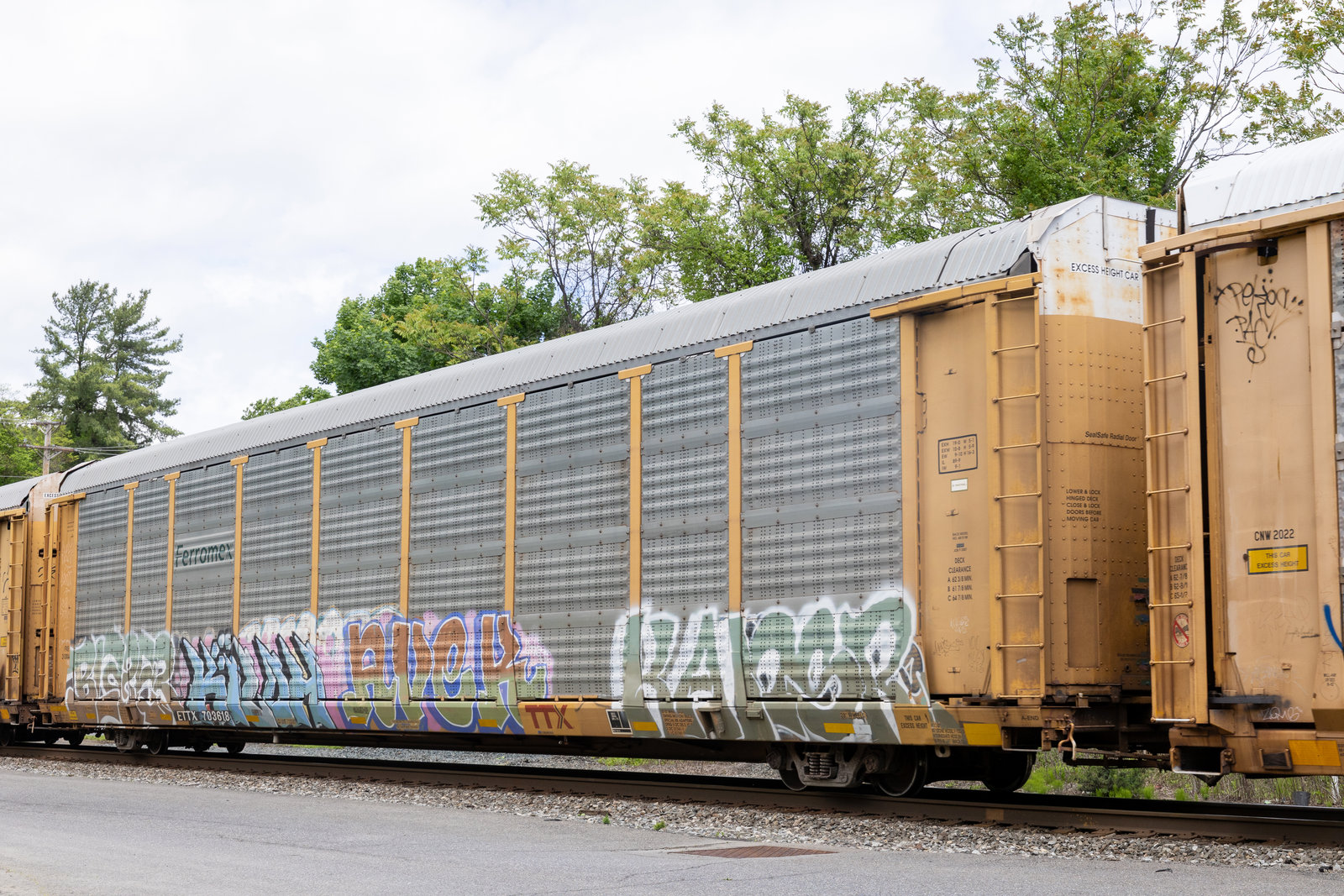 ETTX 703618