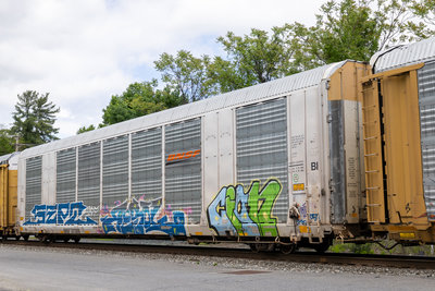 BNSF 301368