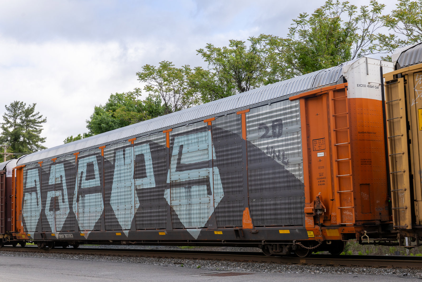 BNSF 303163