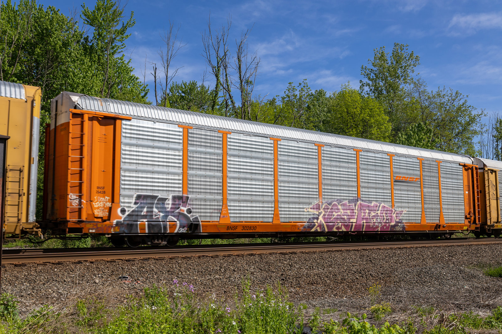 BNSF 302830