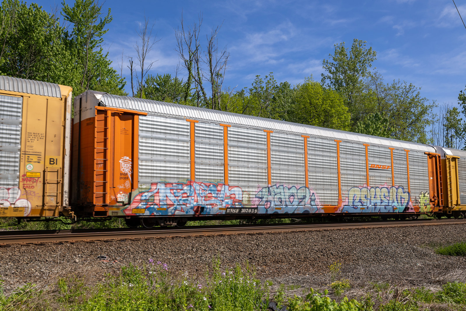 BNSF 302039