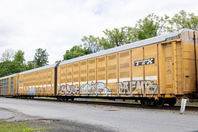 BTTX 880407