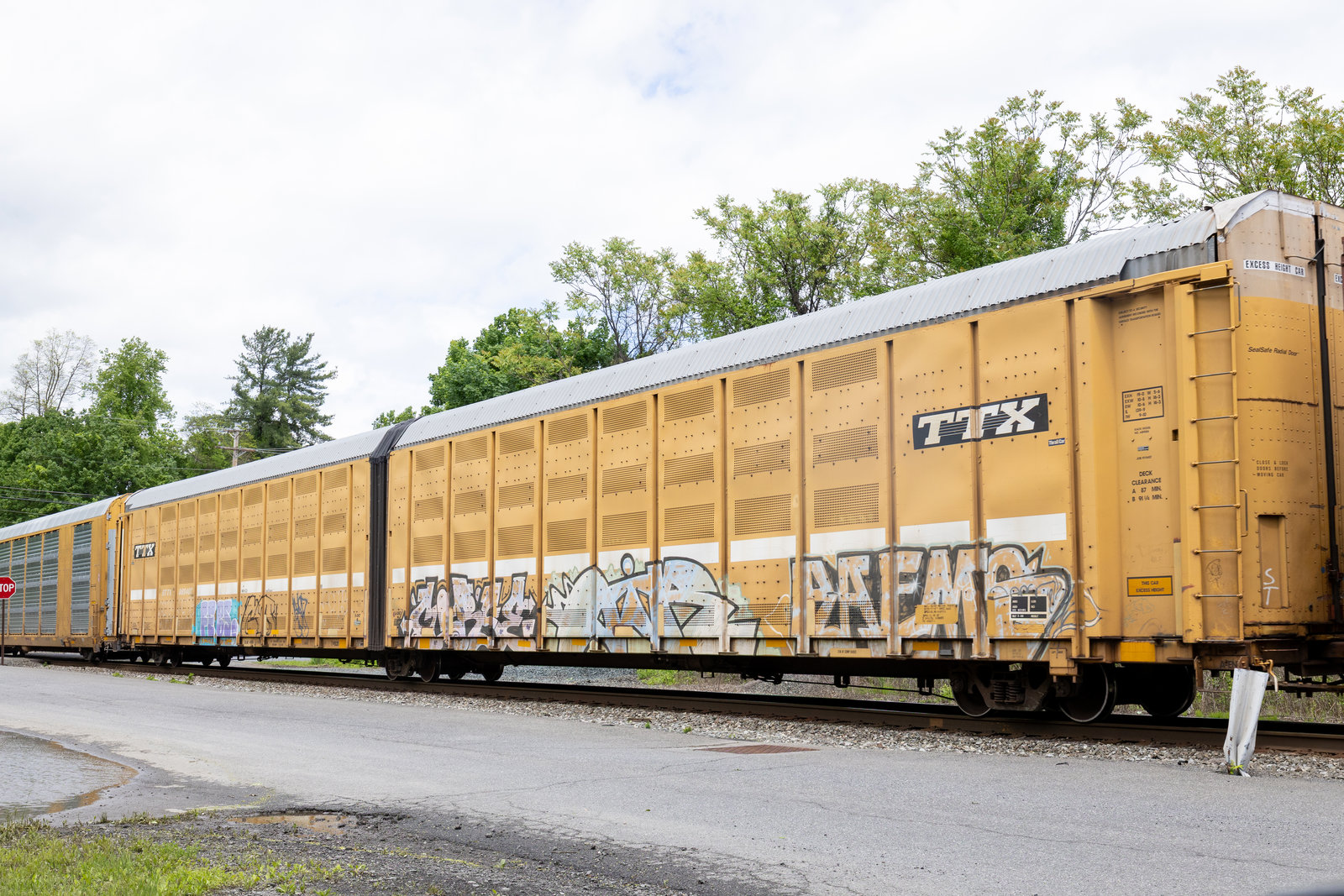BTTX 880407