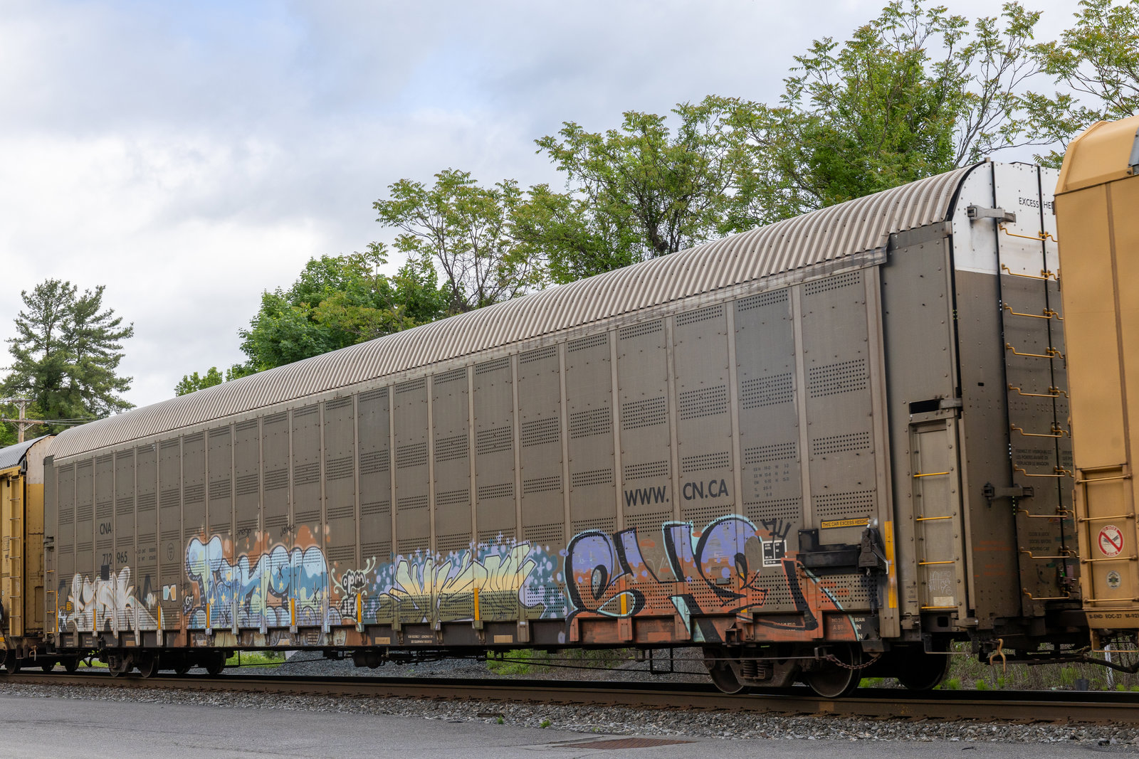 CNA 712965