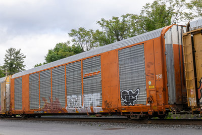 CTTX 694977