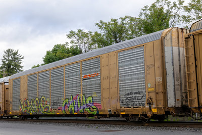 CTTX 691948