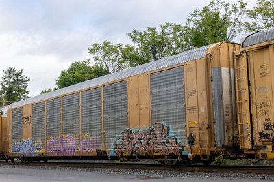 CTTX 694620
