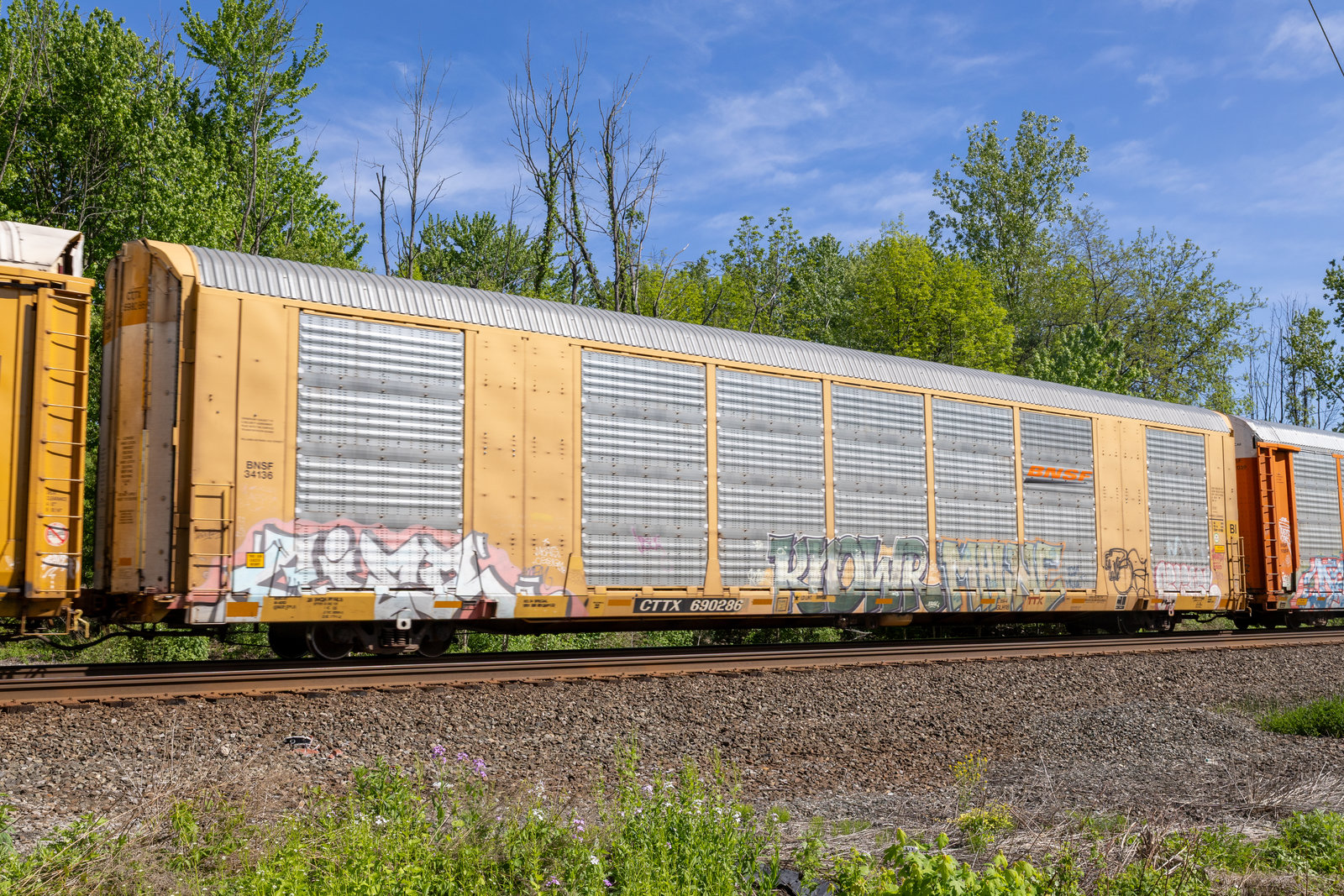 CTTX 690286